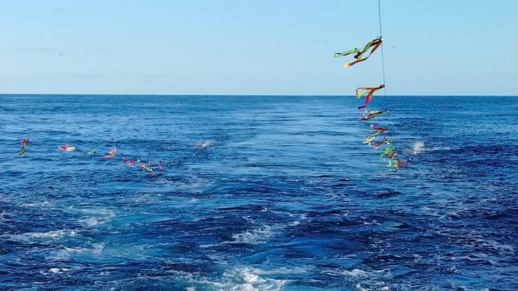 A maioría dos cidadáns piden máis protección do mar e rexeitamento a artes pesqueiras agresivas, segundo Oceana